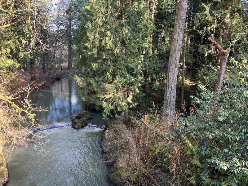 Johnson Creek and the Trails Along the Water Johnson Creek and the Trails Along the Water