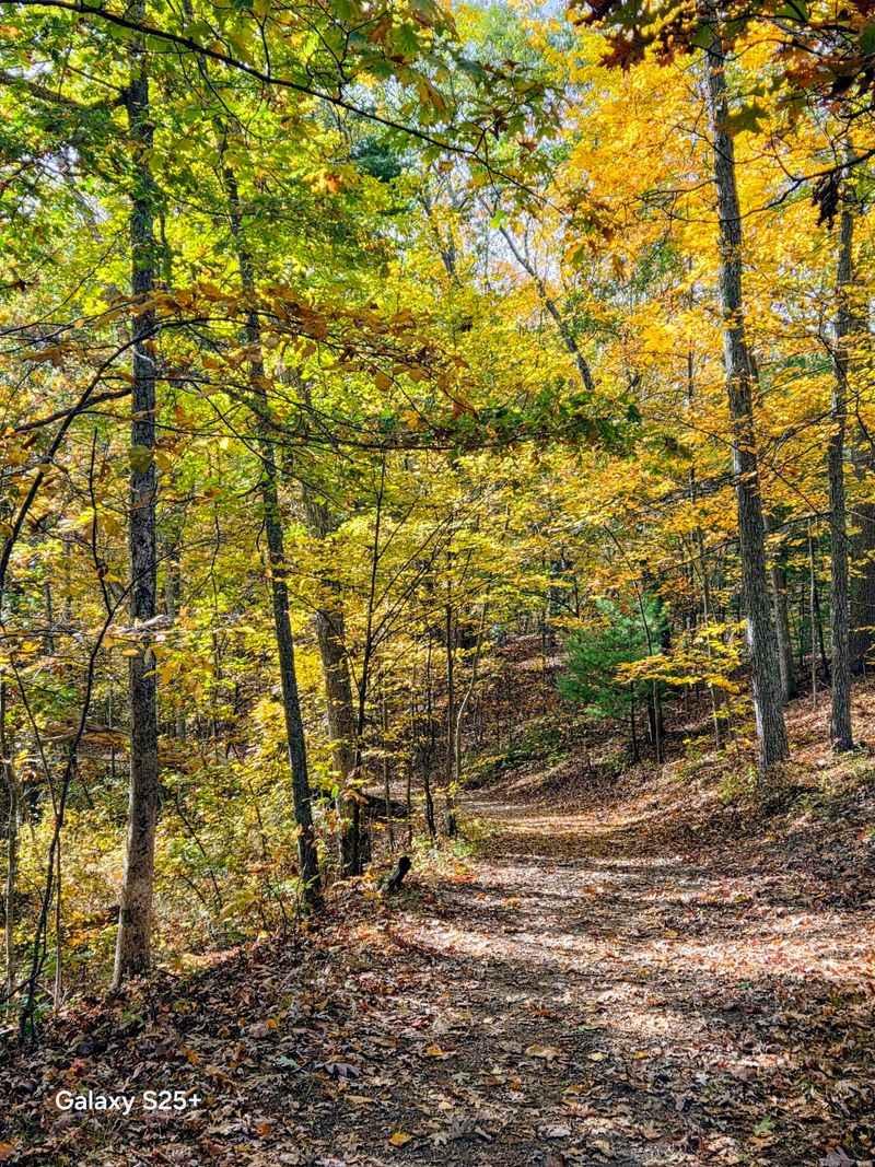 Just Over Two Miles of Easy Trails Just Over Two Miles of Easy Trails