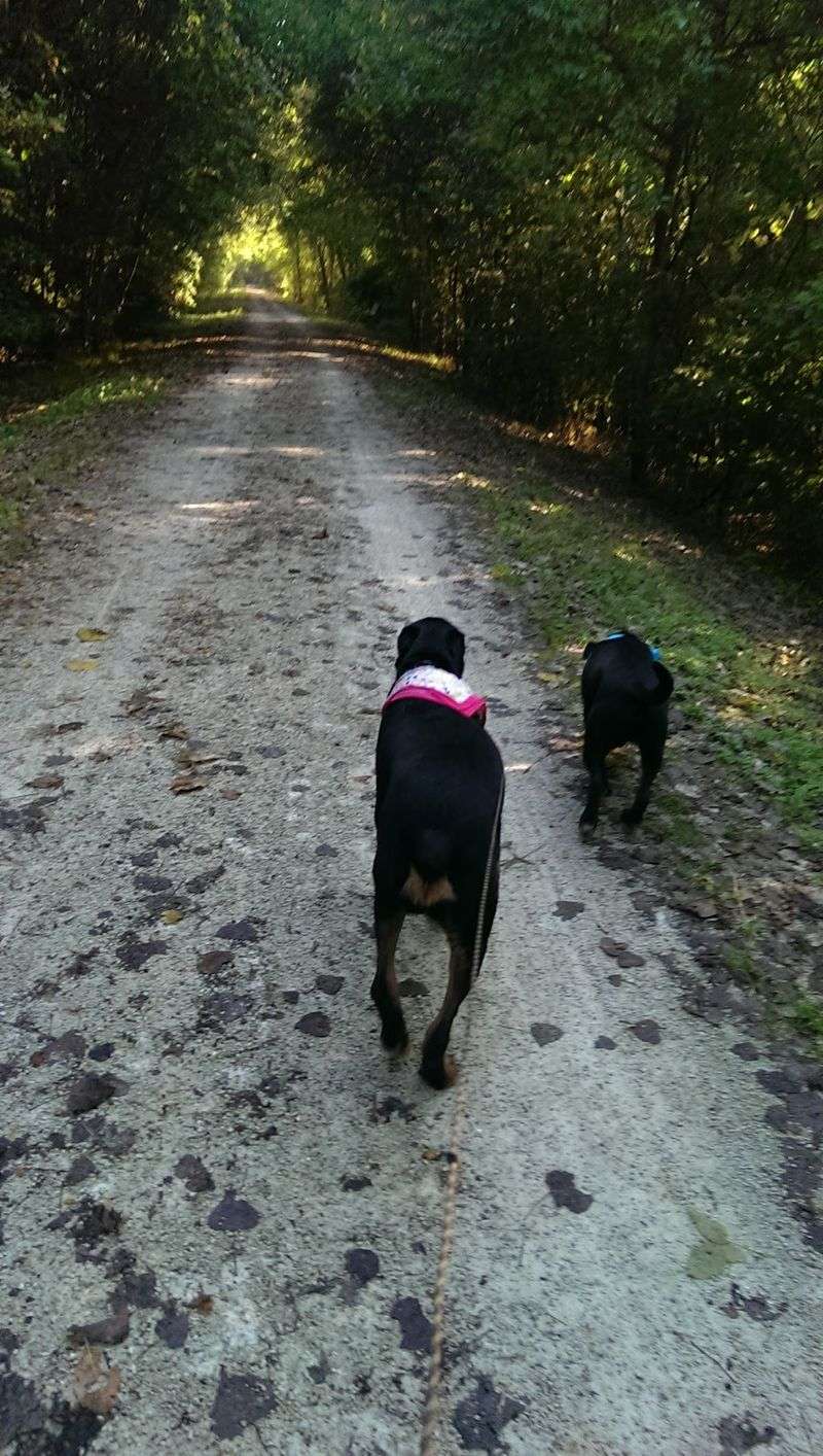 Katy Trail State Park, Defiance, Missouri