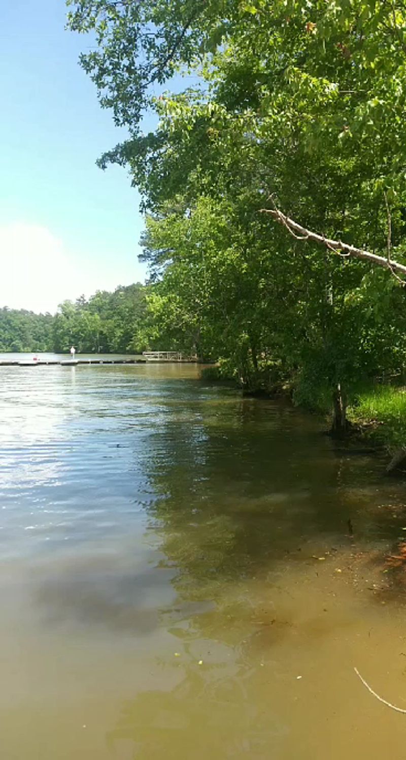 Kayak Rentals and Time on the Water Kayak Rentals and Time on the Water