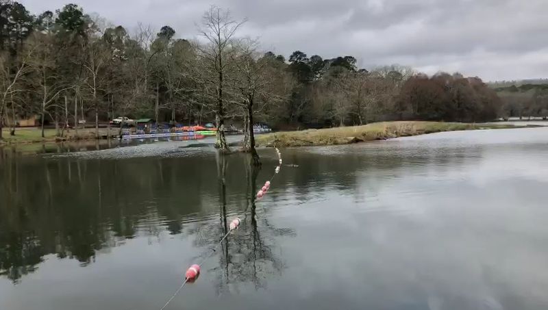 Kayaking, Canoeing, and Paddle Boats on the Water