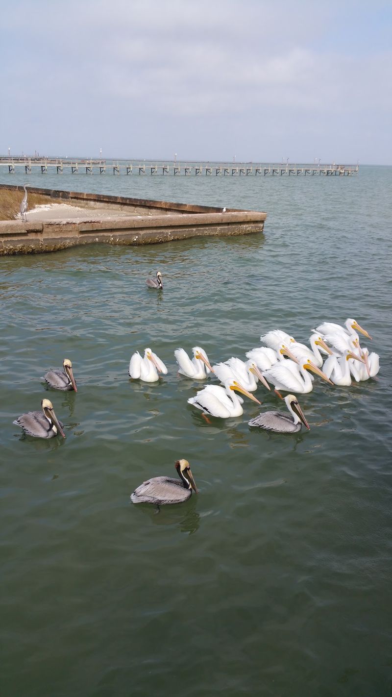 Kayaking and Paddling on Calm Bay Waters