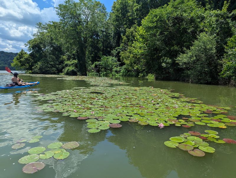 Kayaking and Paddling the Quiet Coves