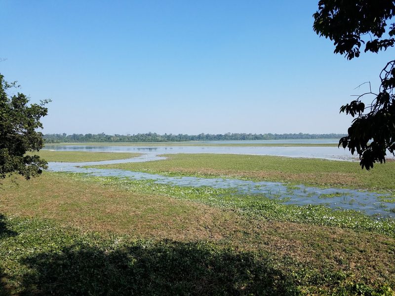 Kaziranga National Park, Golaghat, Assam, India