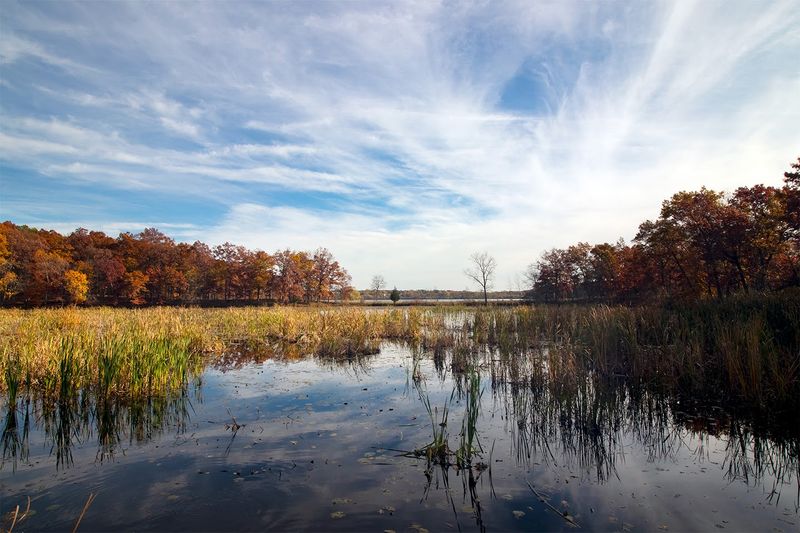 Kensington Metropark Nature Trails, Milford, Michigan Kensington Metropark Nature Trails, Milford, Michigan