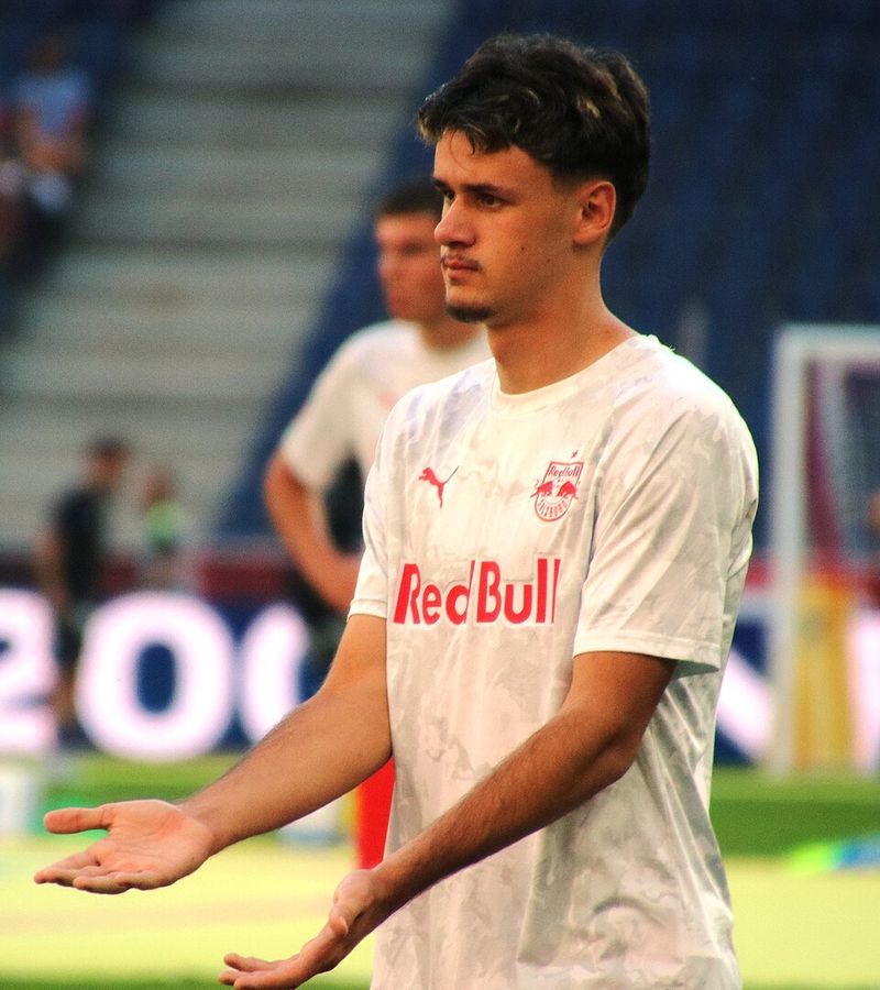 Kerim Alajbegovic - Bayer Leverkusen to Juventus Kerim Alajbegovic - Bayer Leverkusen to Juventus