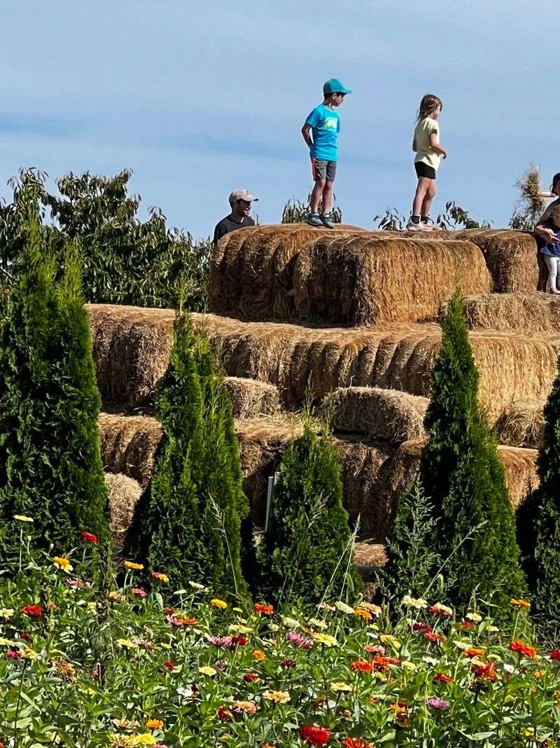 Kid-Friendly Extras Beyond The Orchard Rows Kid-Friendly Extras Beyond The Orchard Rows