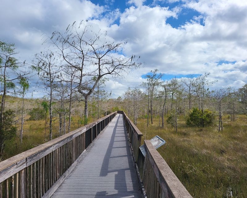Kirby Storter Boardwalk, Big Cypress National Preserve, Florida Kirby Storter Boardwalk, Big Cypress National Preserve, Florida