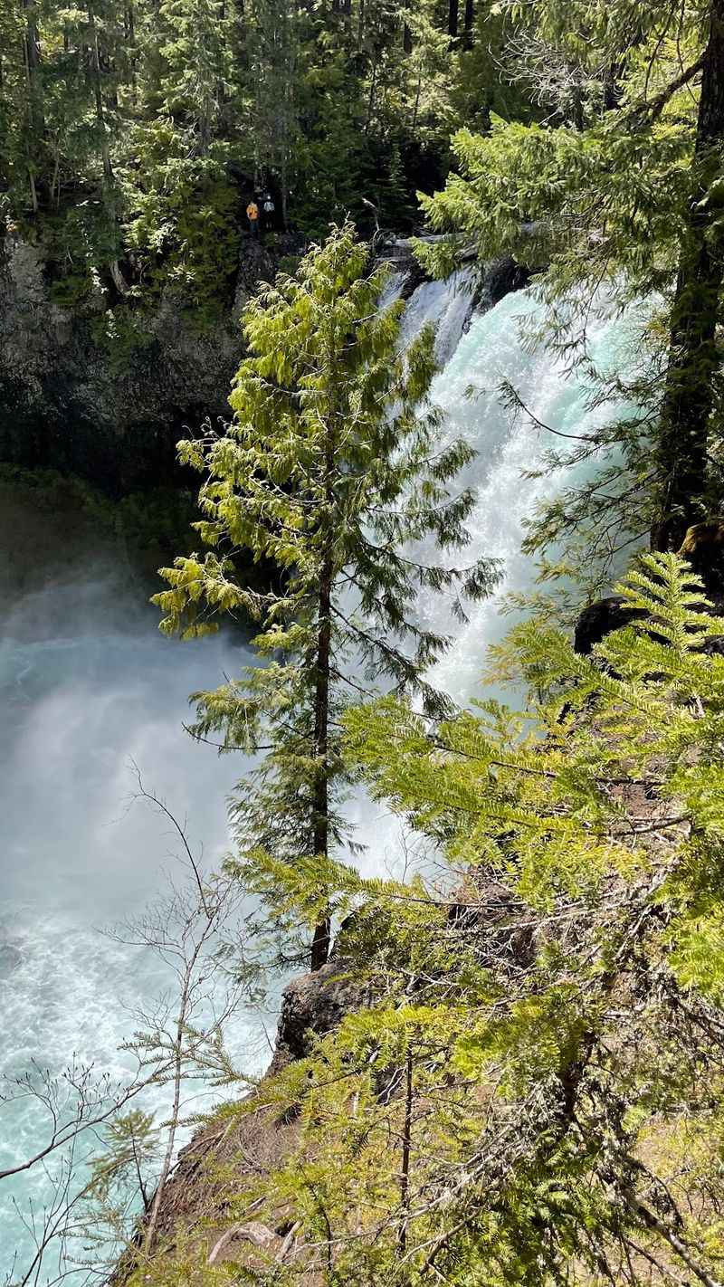 Koosah Falls: Power and Beauty in Equal Measure