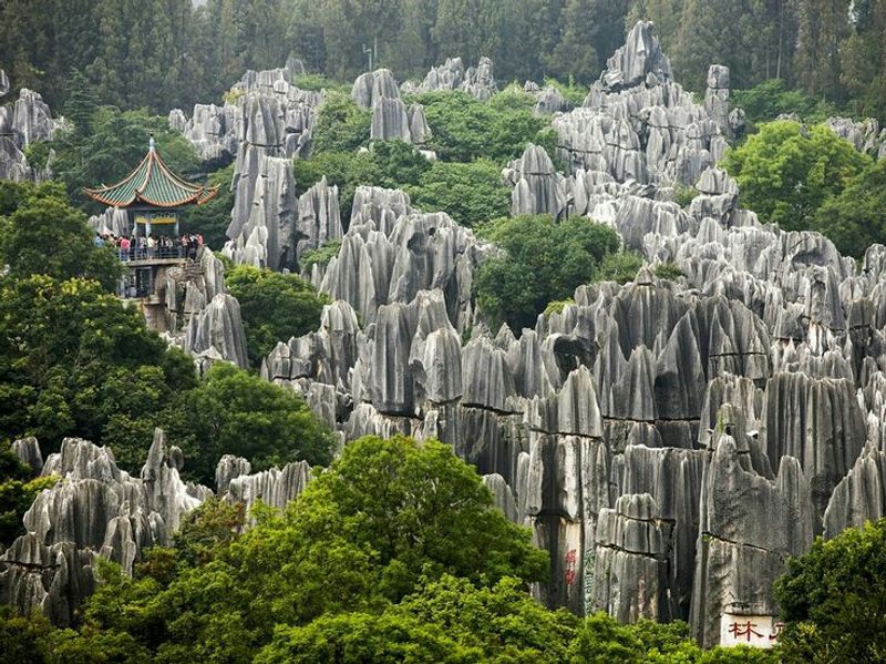 Kunming Kunming