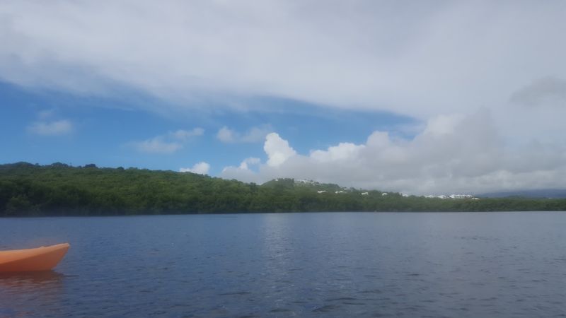 Laguna Grande, Fajardo, Puerto Rico Laguna Grande, Fajardo, Puerto Rico