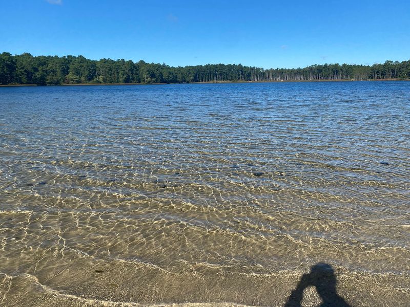 Lake Absegami at Bass River State Forest, Tuckerton, New Jersey