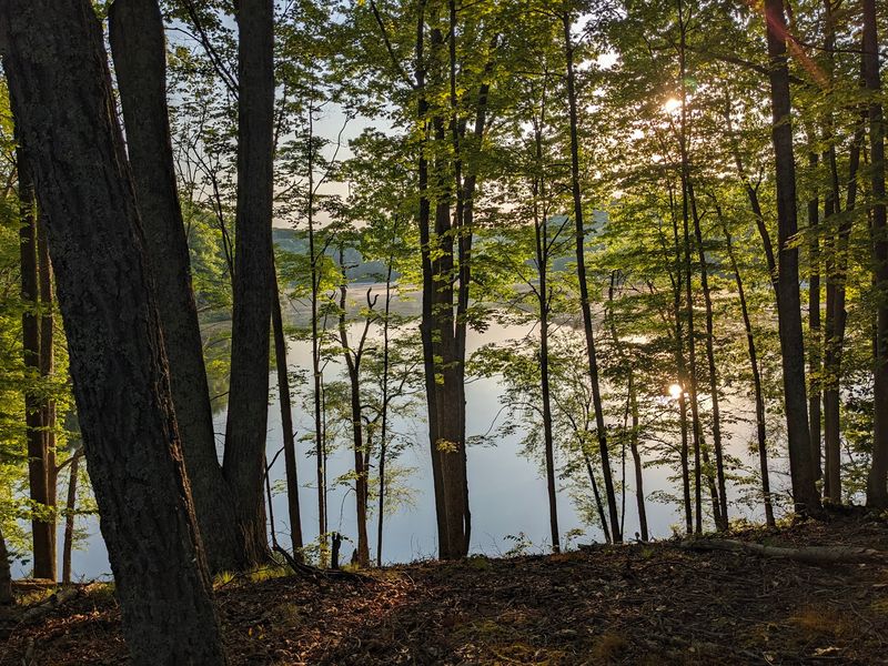 Lake Alma State Park, Wellston Lake Alma State Park, Wellston