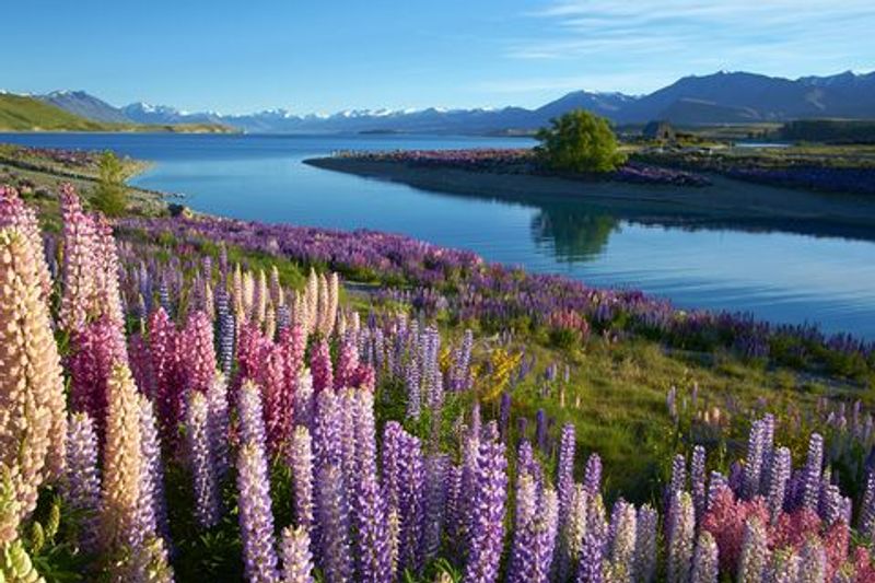 Lake Tekapo, Canterbury, New Zealand