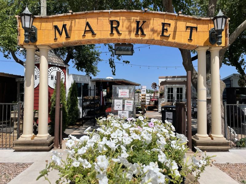Lakeview Market Hub and Farm: The Place Itself