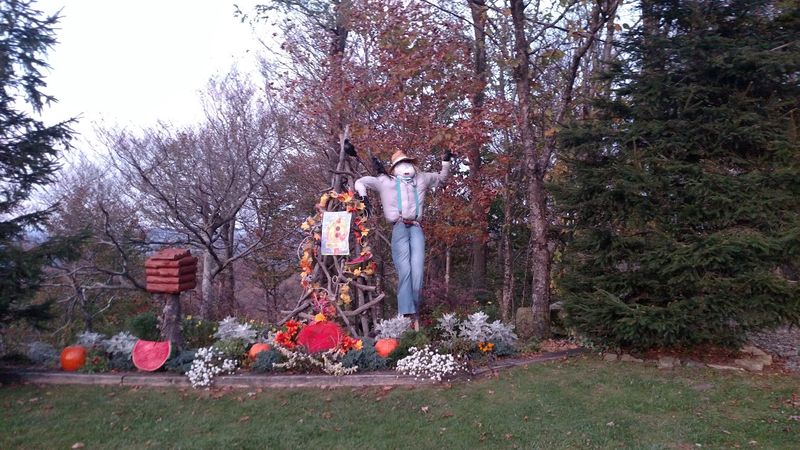 Land of Oz, A 1970s Amusement Park That Still Whispers Land of Oz, A 1970s Amusement Park That Still Whispers