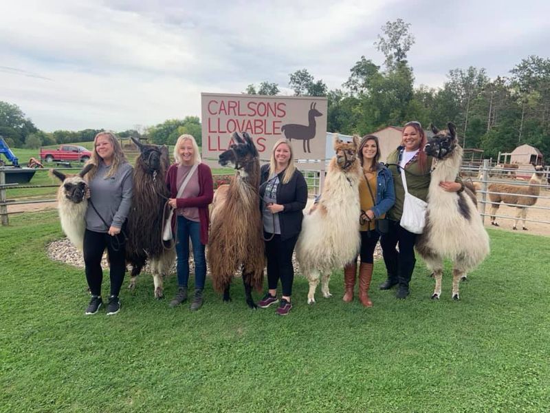 Learning About Llamas from People Who Know Them Best Learning About Llamas from People Who Know Them Best