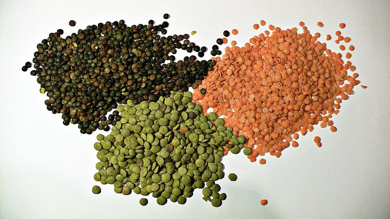 Lentils Lentils