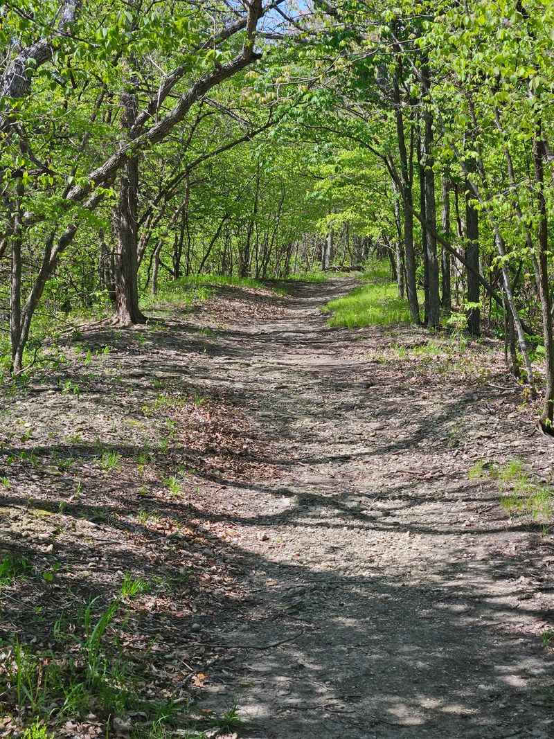 Limestone Ridge Trails Along the Backbone Limestone Ridge Trails Along the Backbone