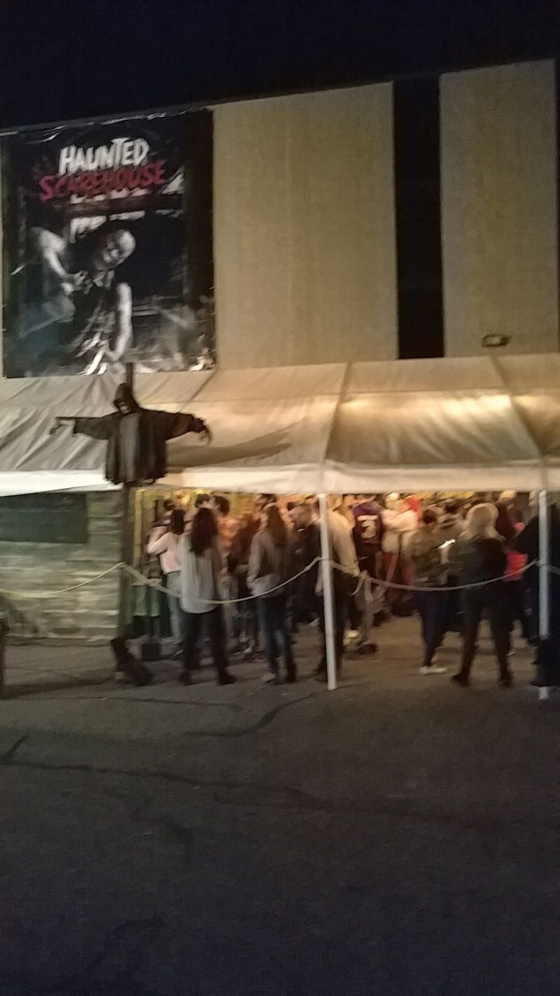Lines, VIP Passes, And Ticket Planning