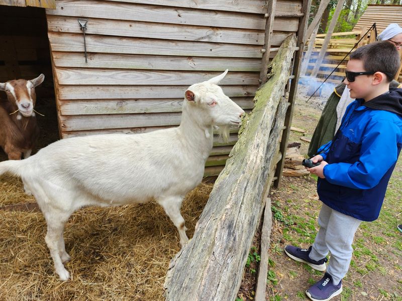 Live Animals That Make the Farm Come Alive Live Animals That Make the Farm Come Alive