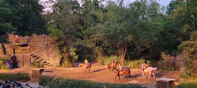 Live Horses on Stage Every Night Live Horses on Stage Every Night