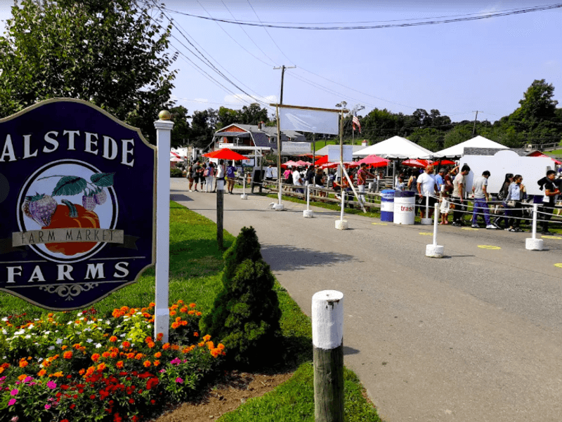 Live Music And Gatherings With Farm Energy Live Music And Gatherings With Farm Energy