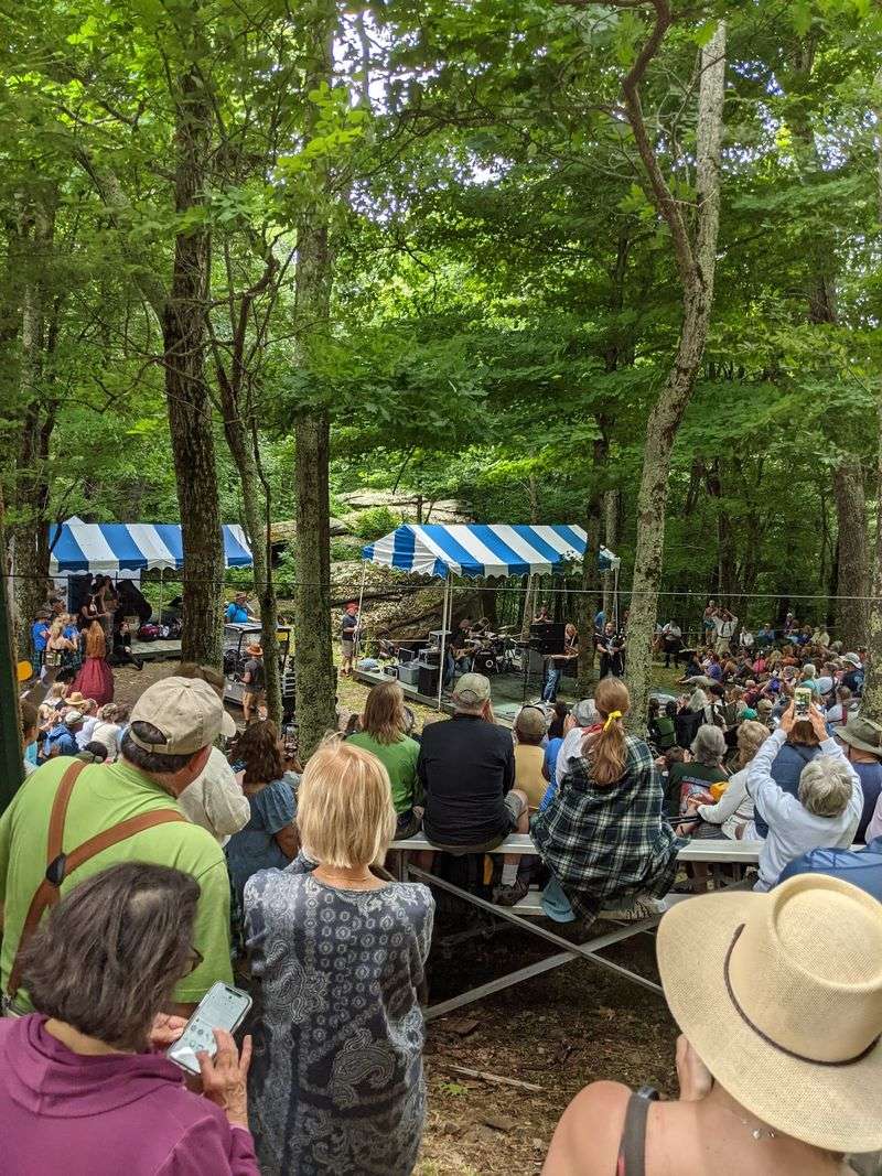 Live Music In The Groves Live Music In The Groves