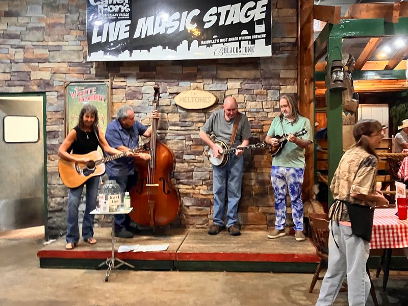 Live Music and a Server Who Might Be a Star Live Music and a Server Who Might Be a Star