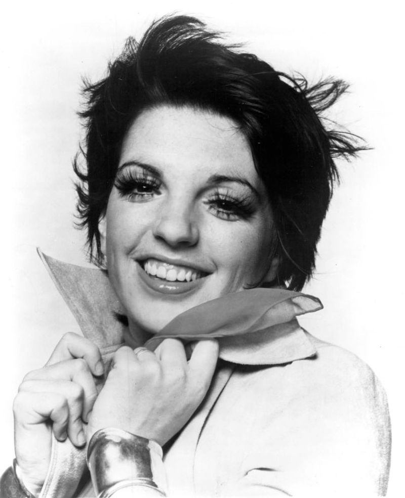 Liza Minnelli Liza Minnelli