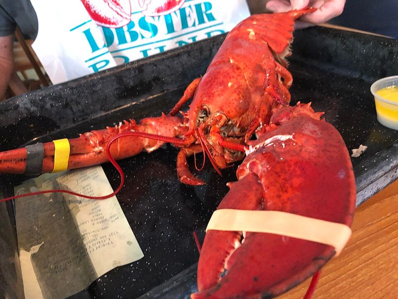 Lobster Was Once Far Less Glamorous Lobster Was Once Far Less Glamorous
