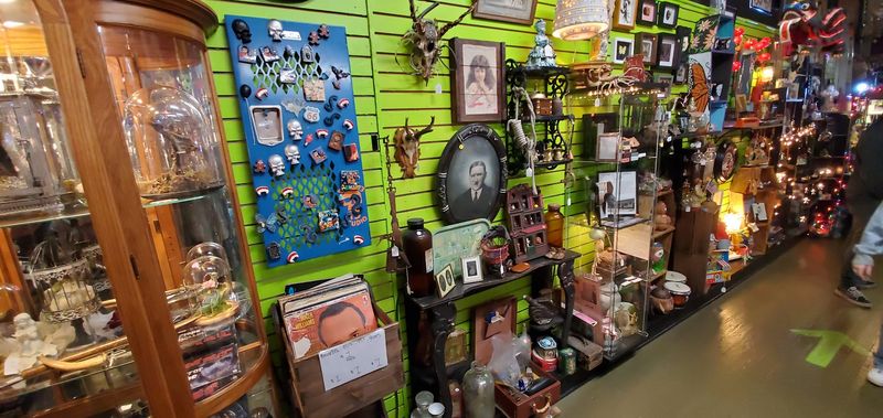 Local Artists at the Center of the Experience