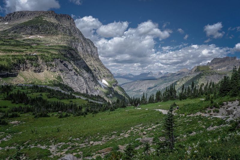 Logan Pass, Glacier National Park, Montana