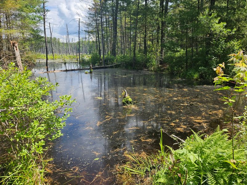 Londonderry's Largest Natural Preserve and How to Find It