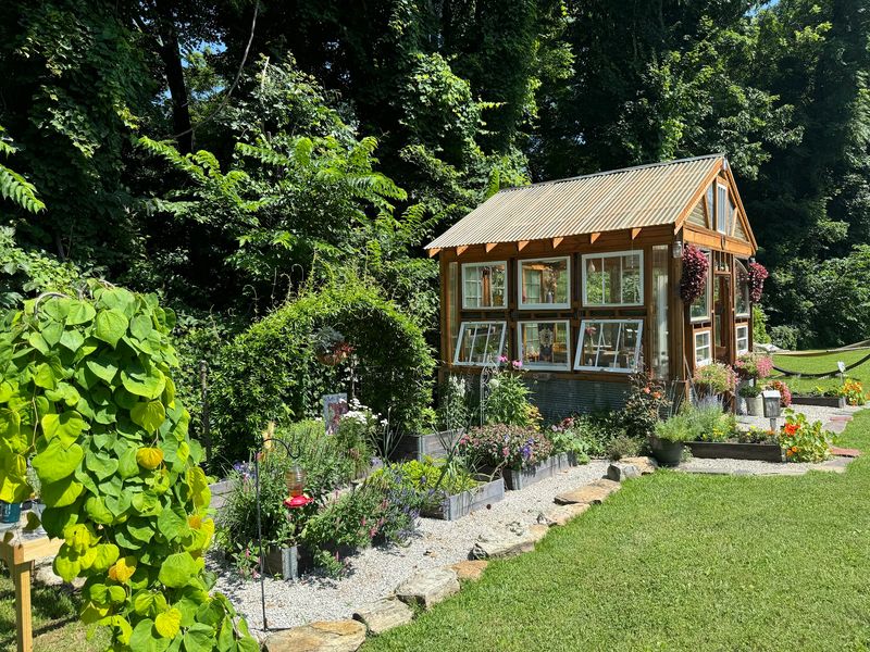 Loofahs, Greenhouses, and Garden Surprises Loofahs, Greenhouses, and Garden Surprises