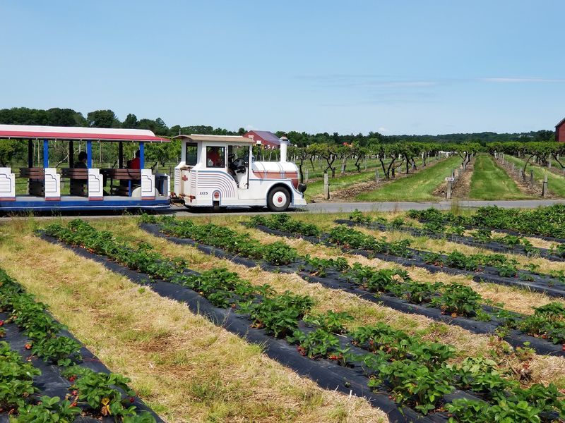 Lookout Farm, Natick Lookout Farm, Natick