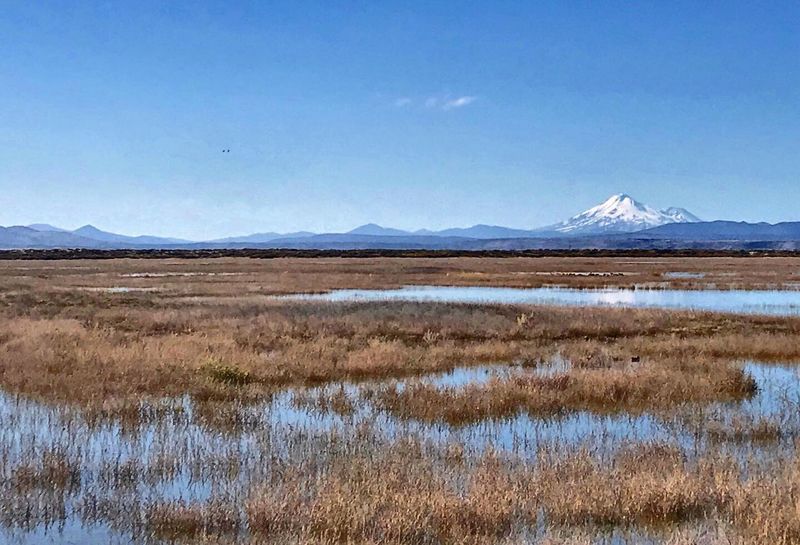 Lower Klamath National Wildlife Refuge, Dorris, California Lower Klamath National Wildlife Refuge, Dorris, California