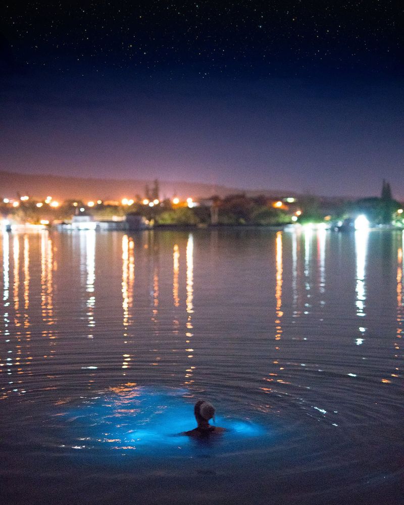 Luminous Lagoon, Falmouth, Jamaica Luminous Lagoon, Falmouth, Jamaica