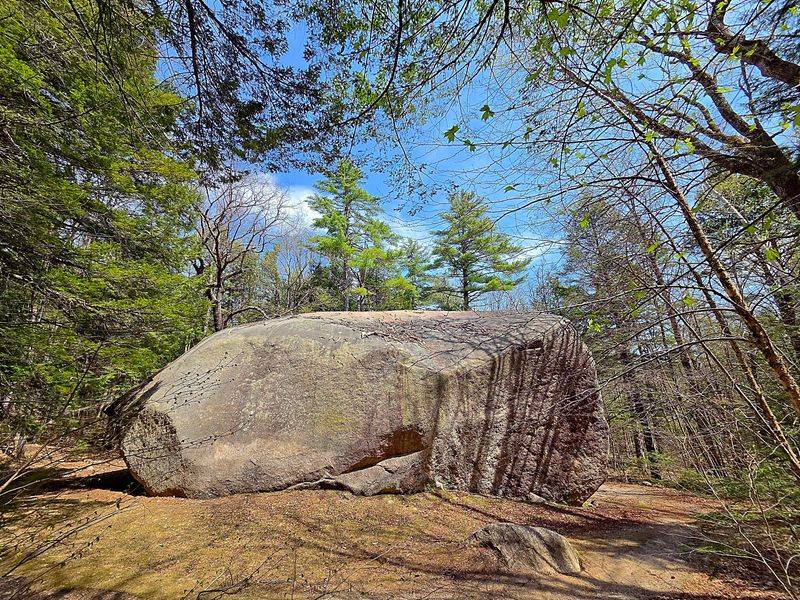 Madison Boulder Natural Area, Madison, New Hampshire Madison Boulder Natural Area, Madison, New Hampshire