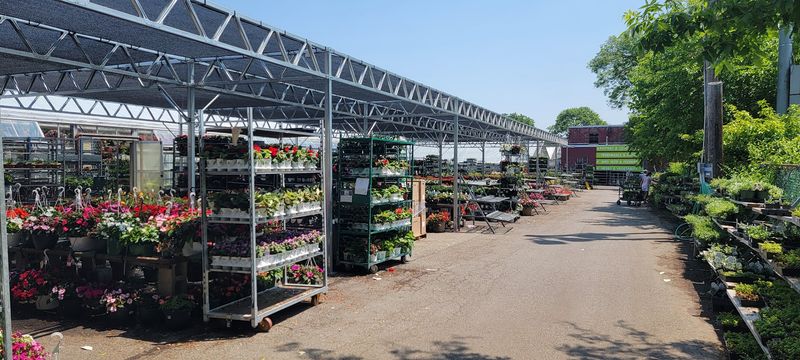Mahoney's Garden Center, Winchester Mahoney's Garden Center, Winchester