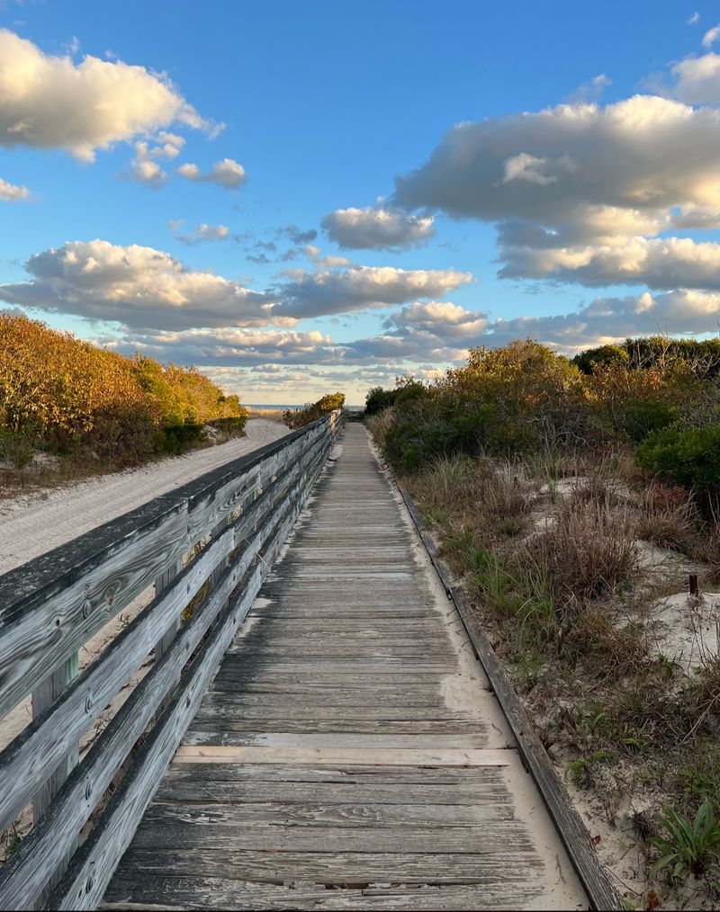Marsh Boardwalk Trail, Cape May National Wildlife Refuge, New Jersey Marsh Boardwalk Trail, Cape May National Wildlife Refuge, New Jersey