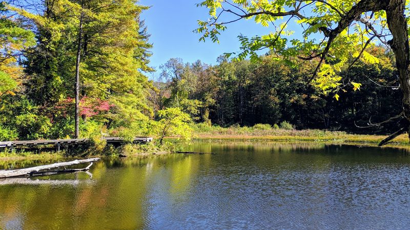 Mass Audubon Berkshire Sanctuaries (Pleasant Valley), Lenox
