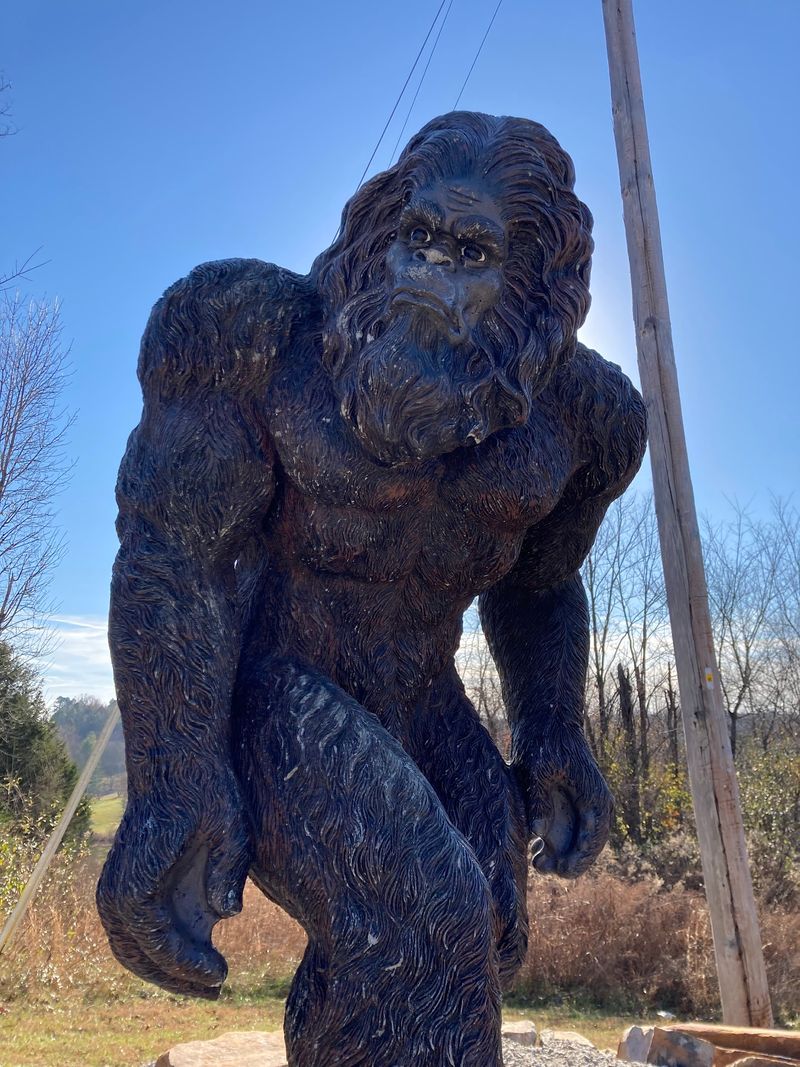 Meet Sassy, the Queen of Cryptids