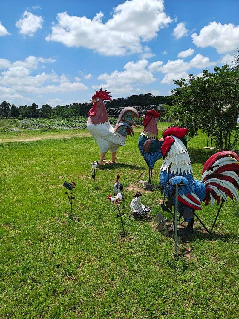 Meet the Farm's Surprising Animals Meet the Farm's Surprising Animals