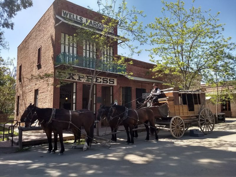 Meeting the Horses on a Carriage Ride