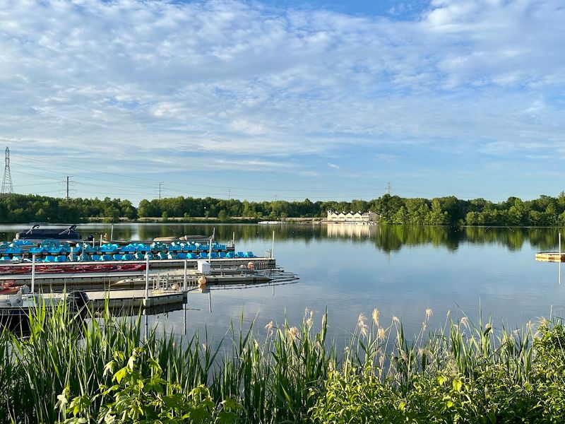 Mercer Lake As The Main Character Mercer Lake As The Main Character
