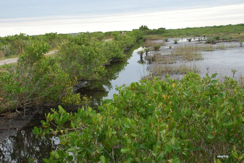 Merritt Island National Wildlife Refuge, Titusville, Florida
