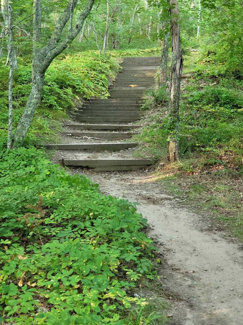 Miles of Hiking Through Quiet Terrain