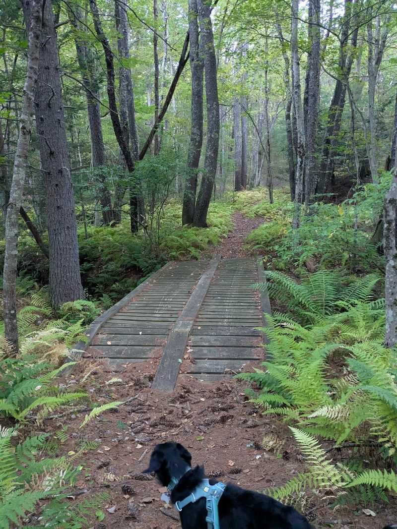 Miles of Trails That Keep Unfolding Miles of Trails That Keep Unfolding