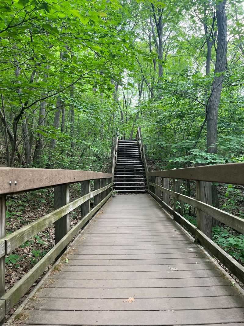 Miles of Trails Winding Through the Woods